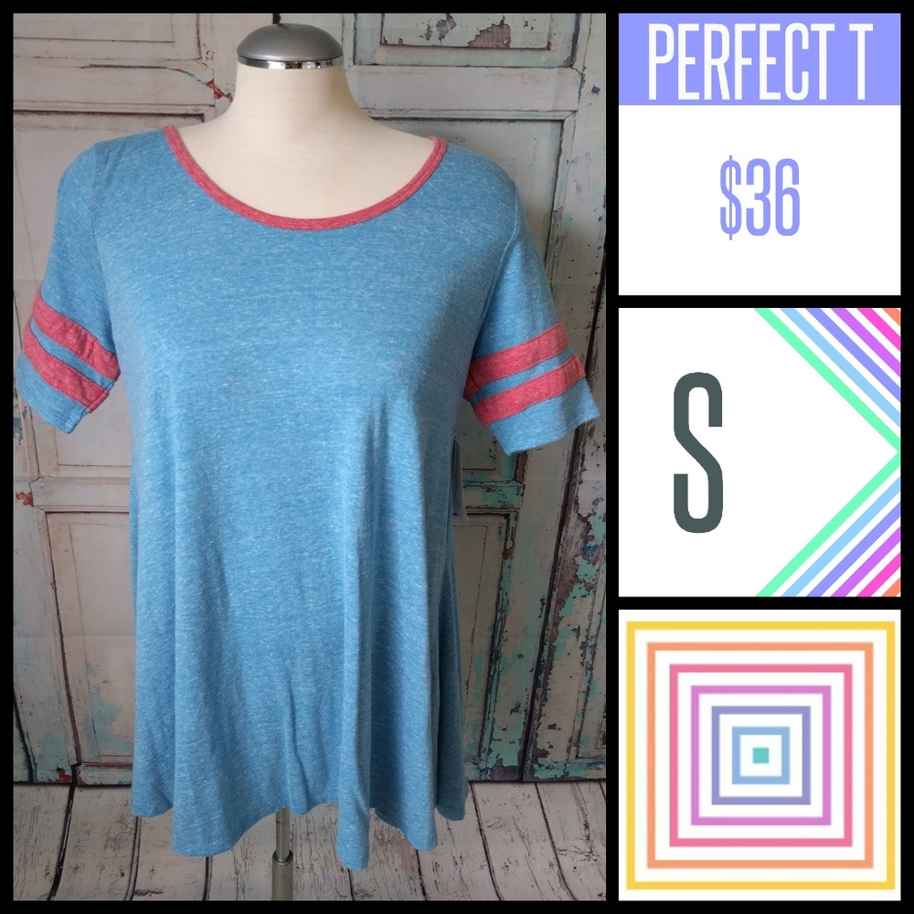 Small Perfect T-Shirt